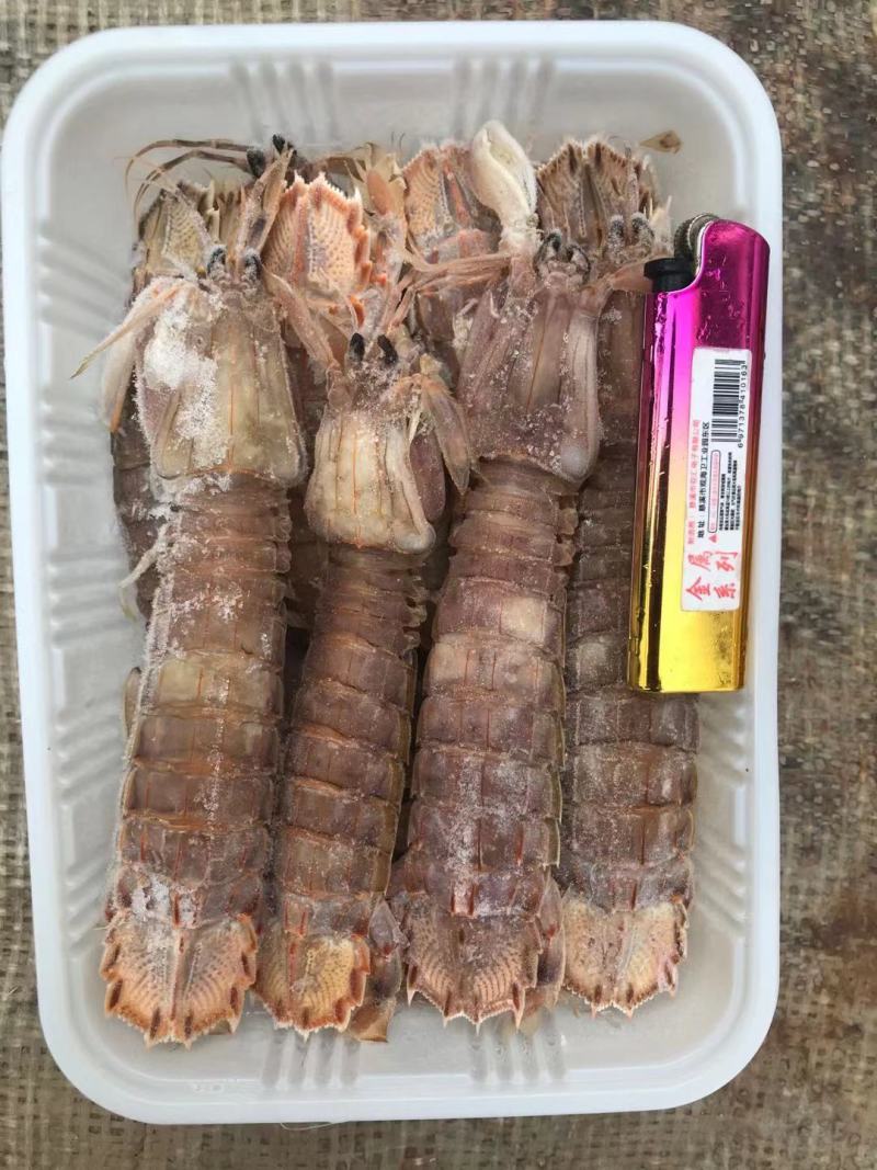 熟冻皮皮虾虾爬子大公皮皮虾小公皮皮虾