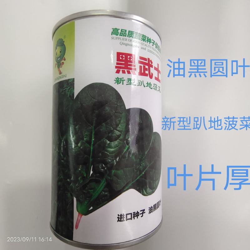 耐热趴地菠菜种子油亮圆叶抗性强250克500克
