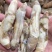 蛏王肉竹节蛏大蛏王肉海蛏