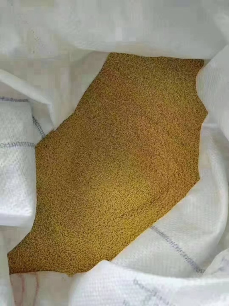 自家山上种的小米