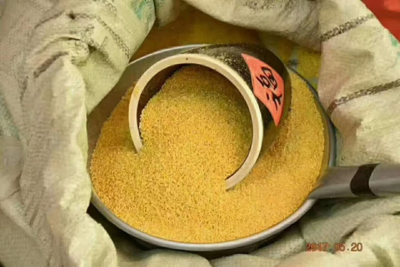 自家山上种的小米