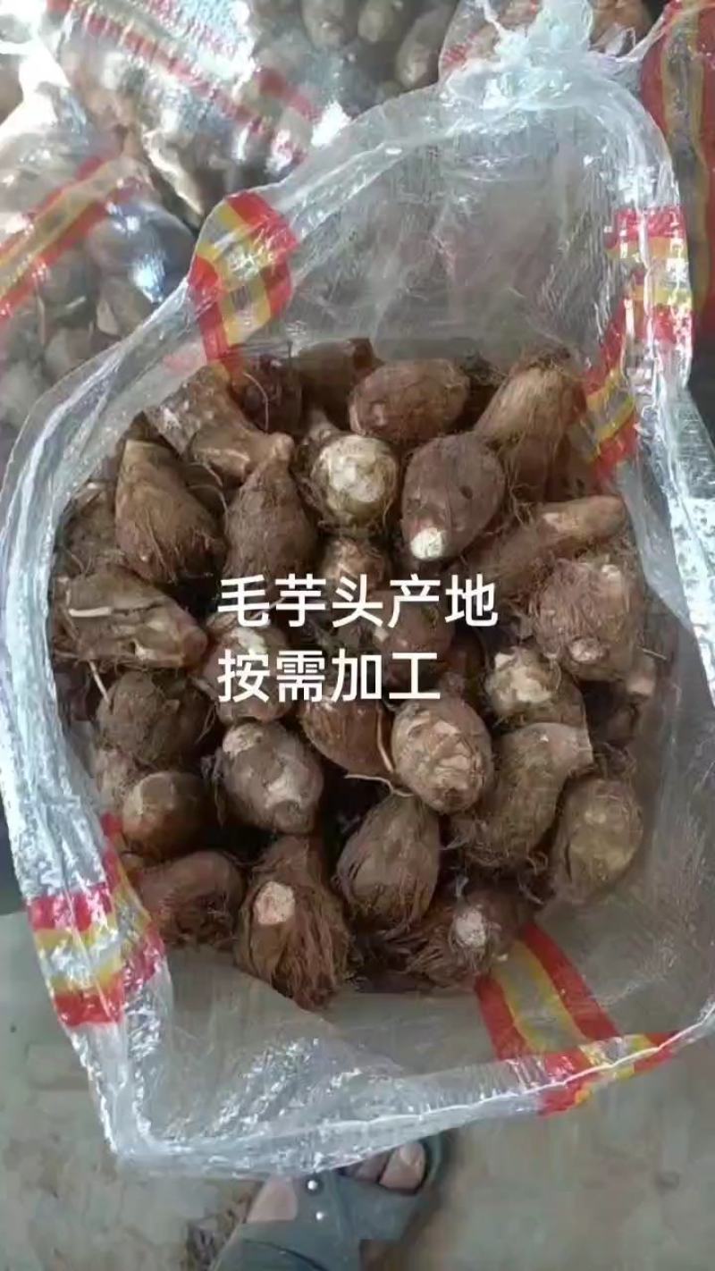 芋头8520芋头产地直发，可视频验货。坏烂包赔。