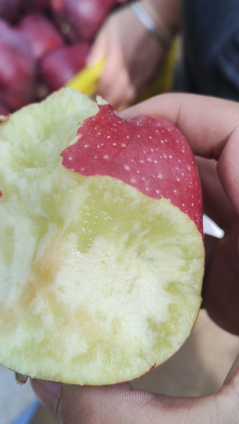 高次