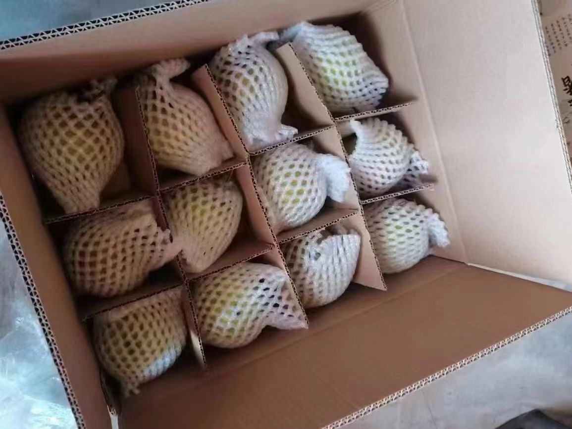 蜜露香梨精美礼盒包装设计图,展示品牌化与礼品化方向 蜜露香梨礼盒包装设计图