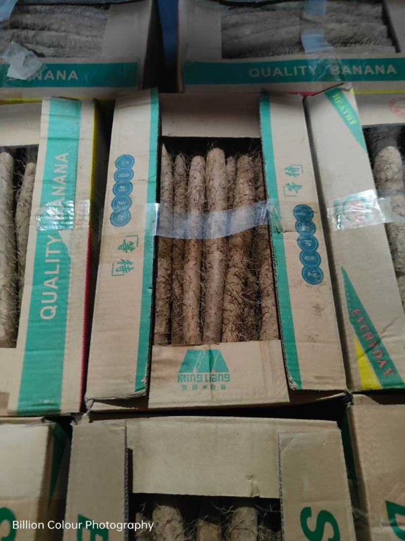 山东莘县山药赶集货电商货网袋货山药段纸箱货