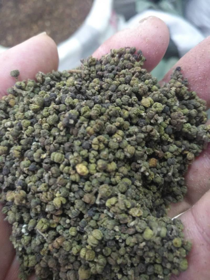 吴茱萸，小花，产地一手货源，规格齐全现货，24小时内发货