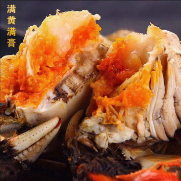 盘锦河蟹产地直发，诚信经营，电商商超
