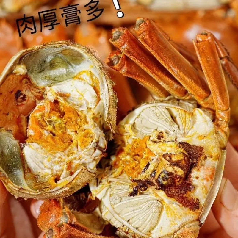 盘锦河蟹产地直发，诚信经营，电商商超