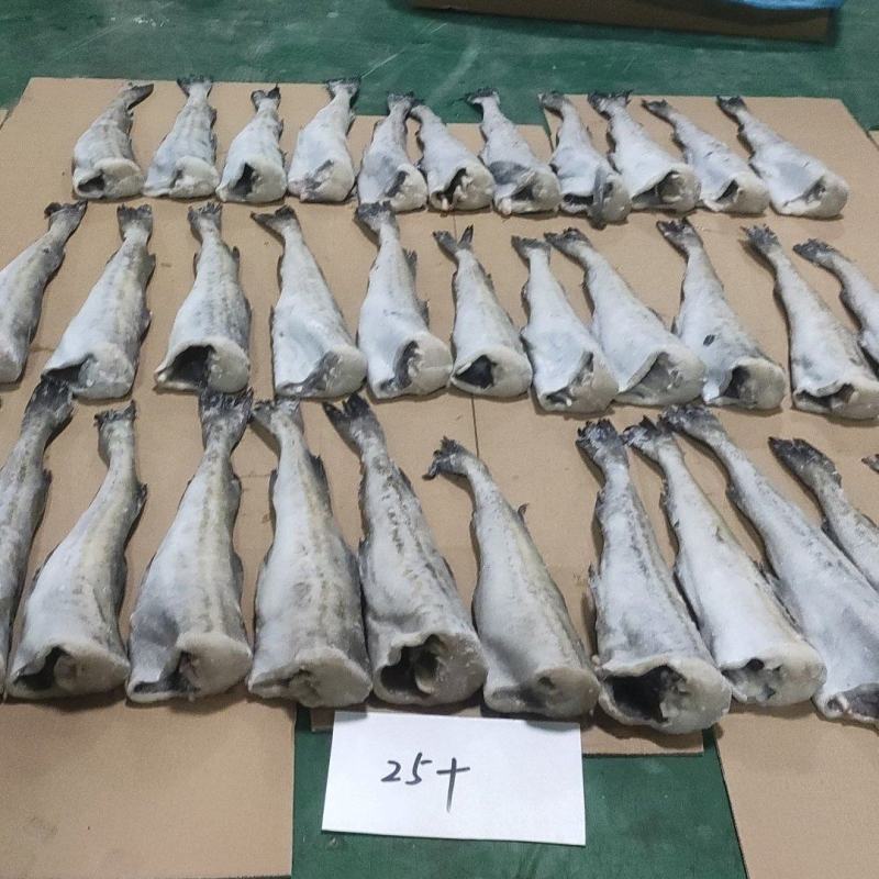 鳕鱼明太鱼单冻去头20斤装长度25厘米新鲜
