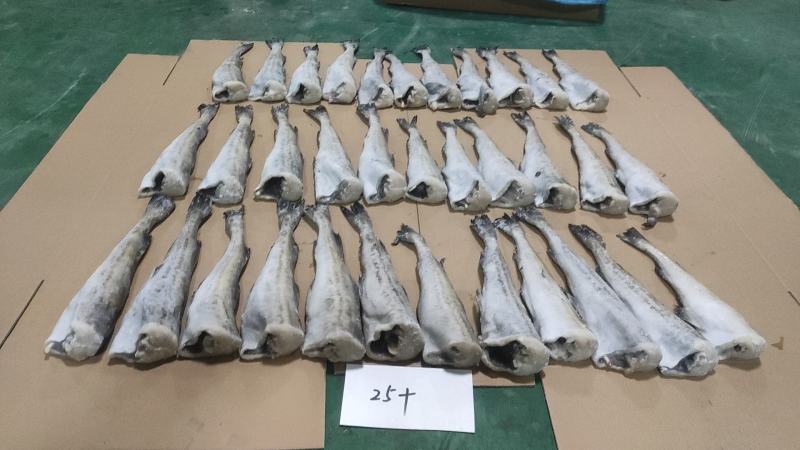 鳕鱼明太鱼单冻去头20斤装长度25厘米新鲜