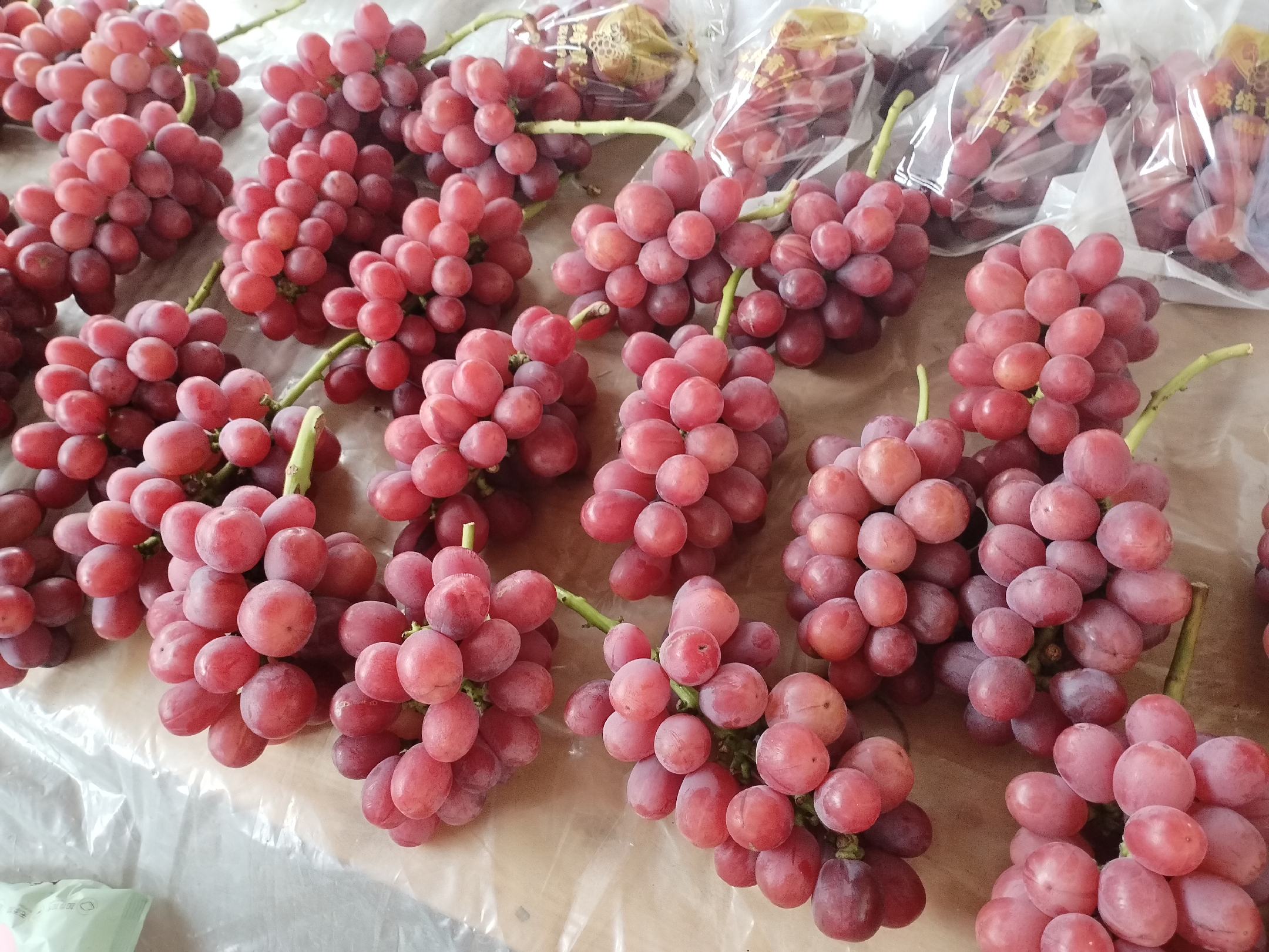 新鲜葡萄洗净摆盘,背景为厨房环境 清洗后的葡萄特写