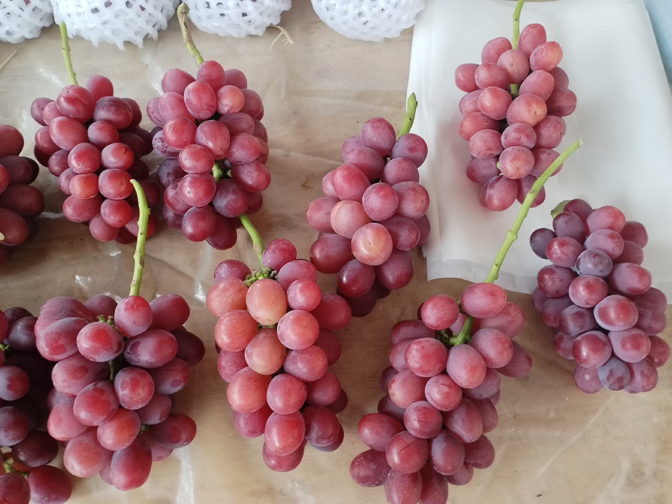 玫瑰香葡萄深加工产品展示