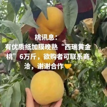 晚熟西瑞黄金桃