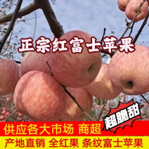 红将军新红星苹果水晶富士苹果产地福利果大量现货批发