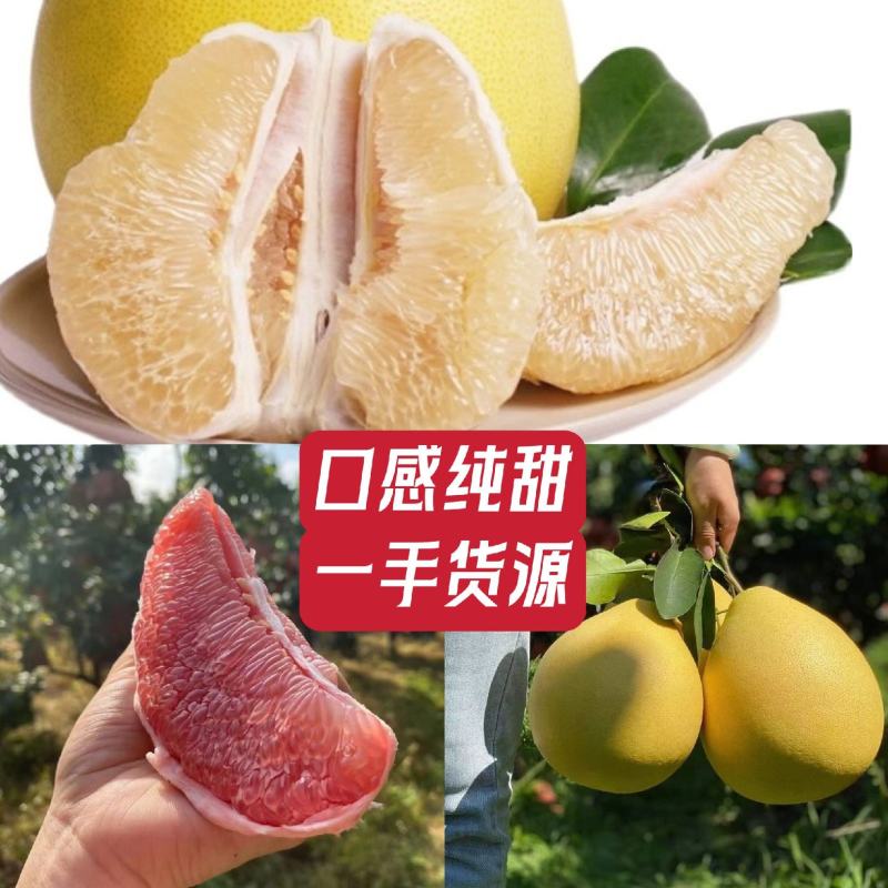蜜柚白心柚，产地大量供应现採现发支持视频看货