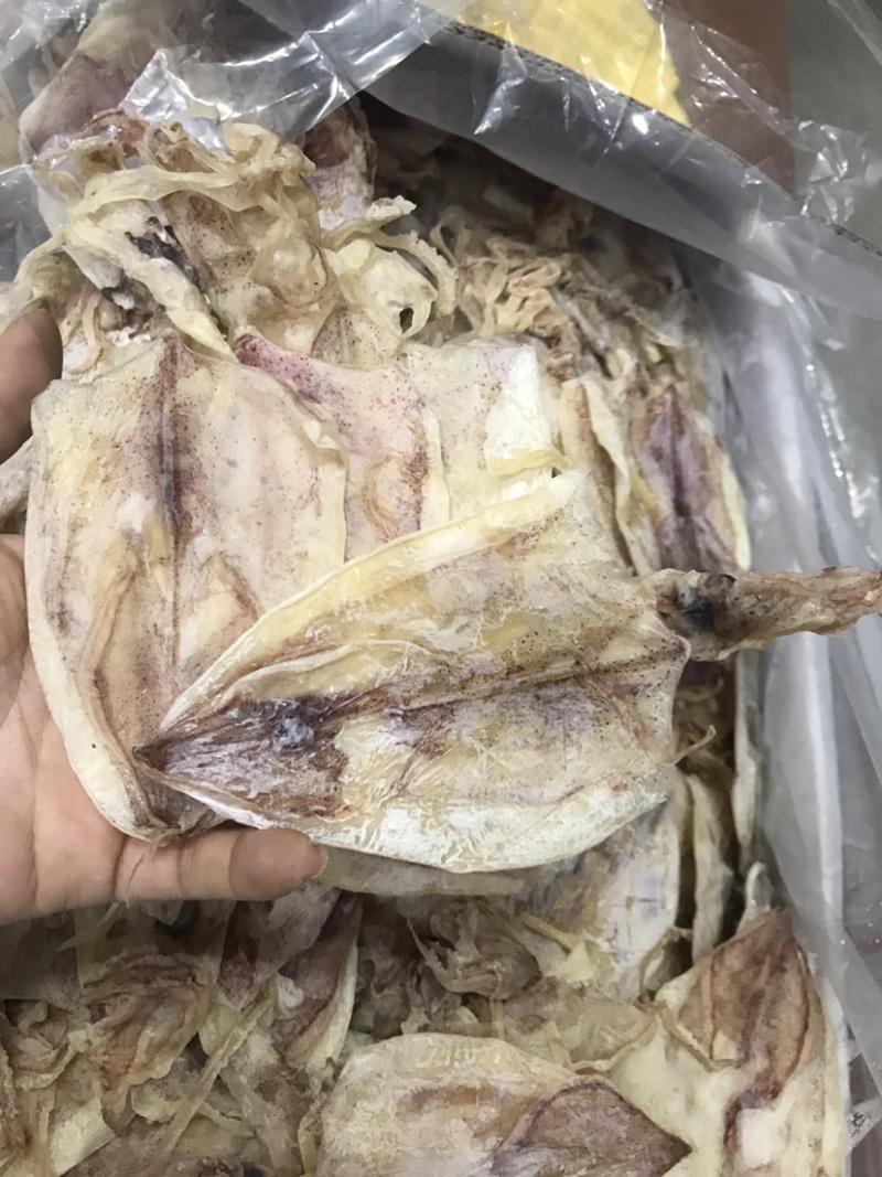 烧烤鱿鱼干规格齐全整件起批发量大优惠规格齐全长期供应