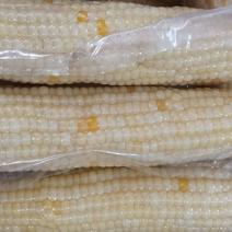 精品白糯玉米，可供电商一件代发，批量拿货1.85