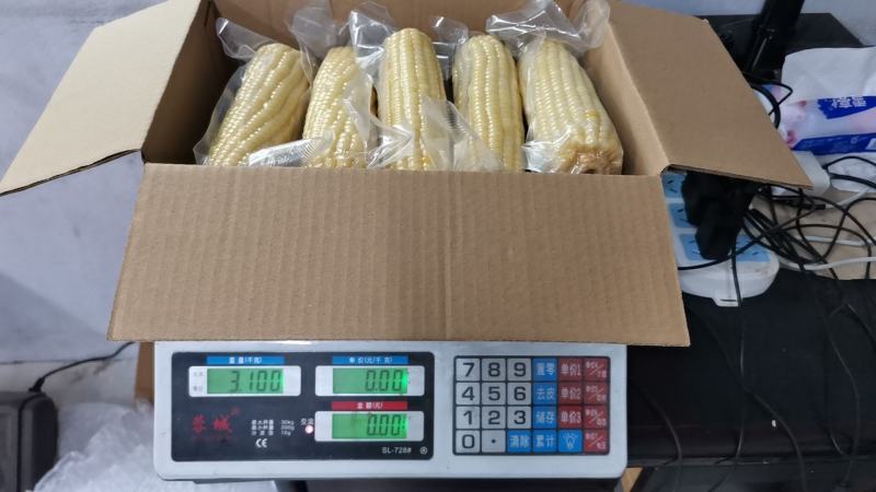 精品白糯玉米，可供电商一件代发，批量拿货1.85