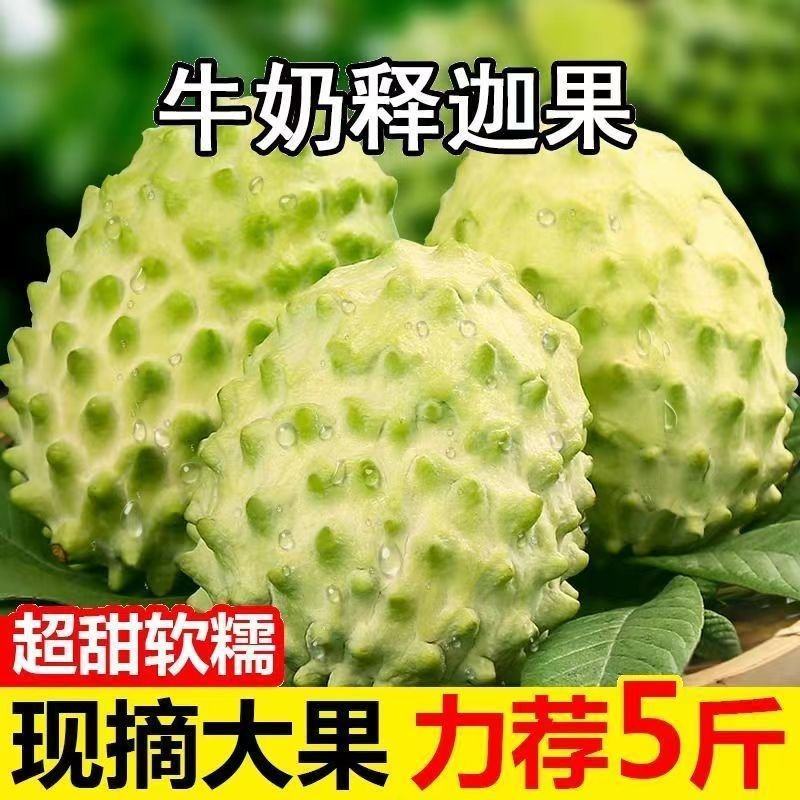 [一件代发]品质牛奶释迦果电商直播现货秒发