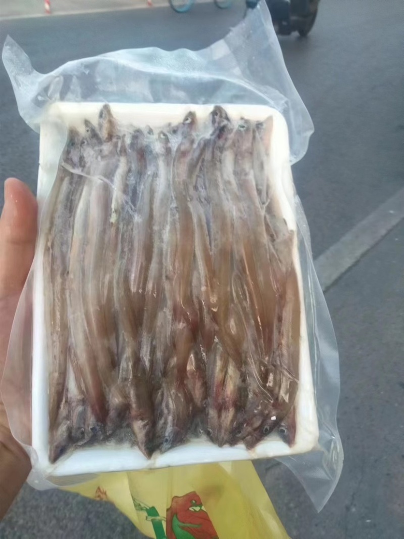 鳗鱼海鳗鱼海鲜水产批发酒店专用鳗鱼商用食材