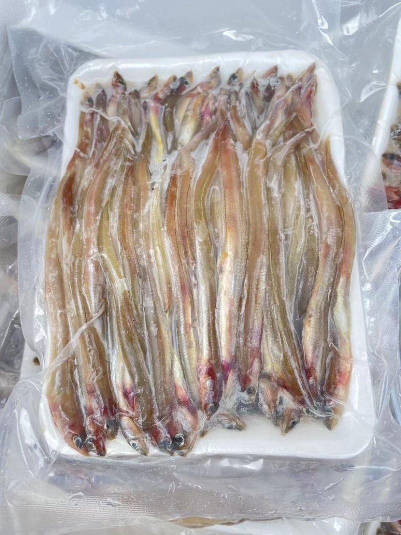 鳗鱼海鳗鱼海鲜水产批发酒店专用鳗鱼商用食材