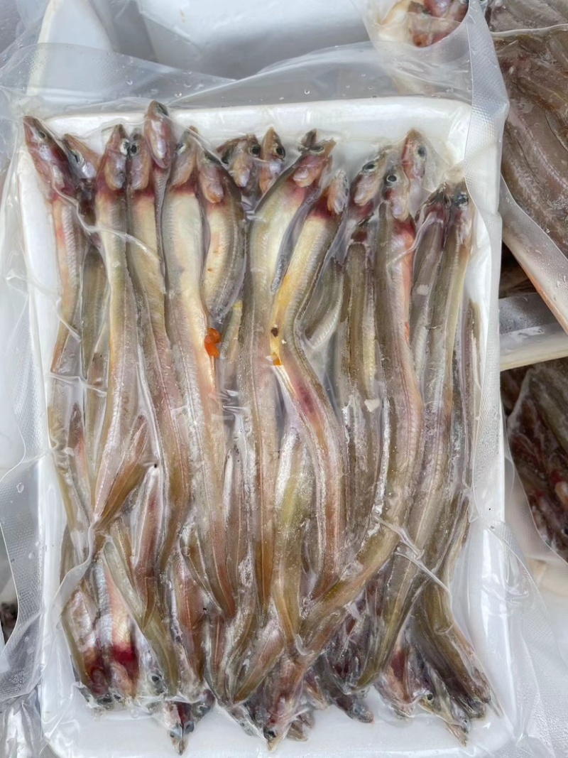 鳗鱼海鳗鱼海鲜水产批发酒店专用鳗鱼商用食材