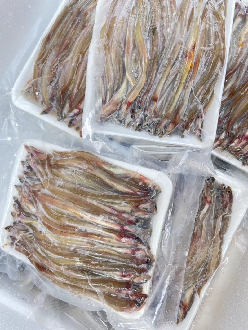 鳗鱼海鳗鱼海鲜水产批发酒店专用鳗鱼商用食材