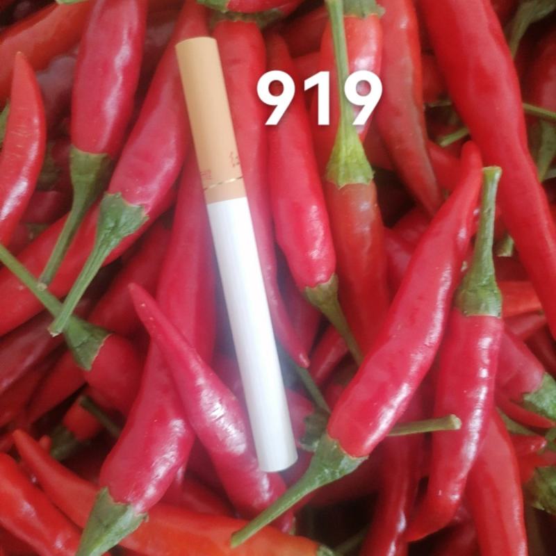 优质天香辣椒，艳红米椒，小米椒，一手货源，欢迎联系