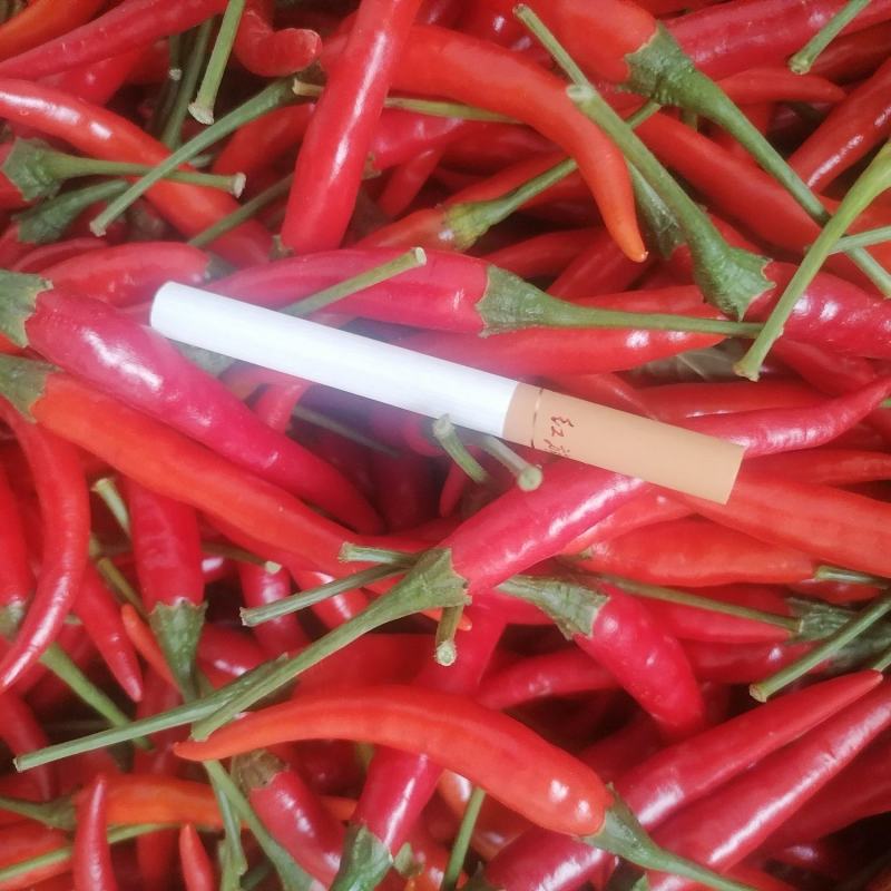 优质天香辣椒，艳红米椒，小米椒，一手货源，欢迎联系