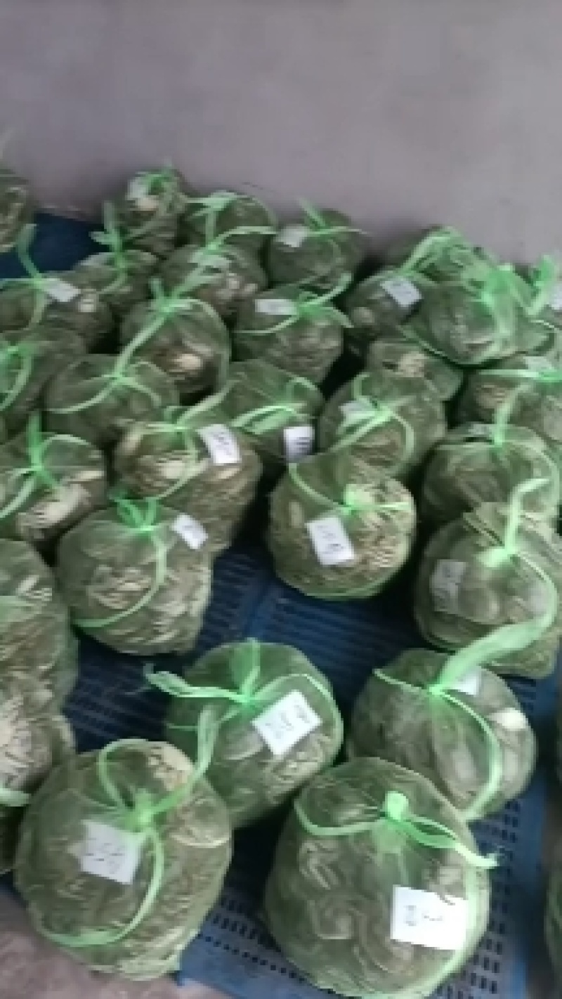 江苏大闸蟹批发