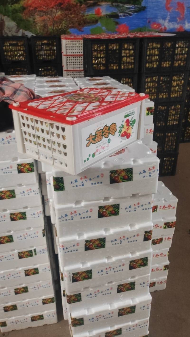 大荔冬枣大量供应中，脆甜爽口入口即化，黄白带点红。