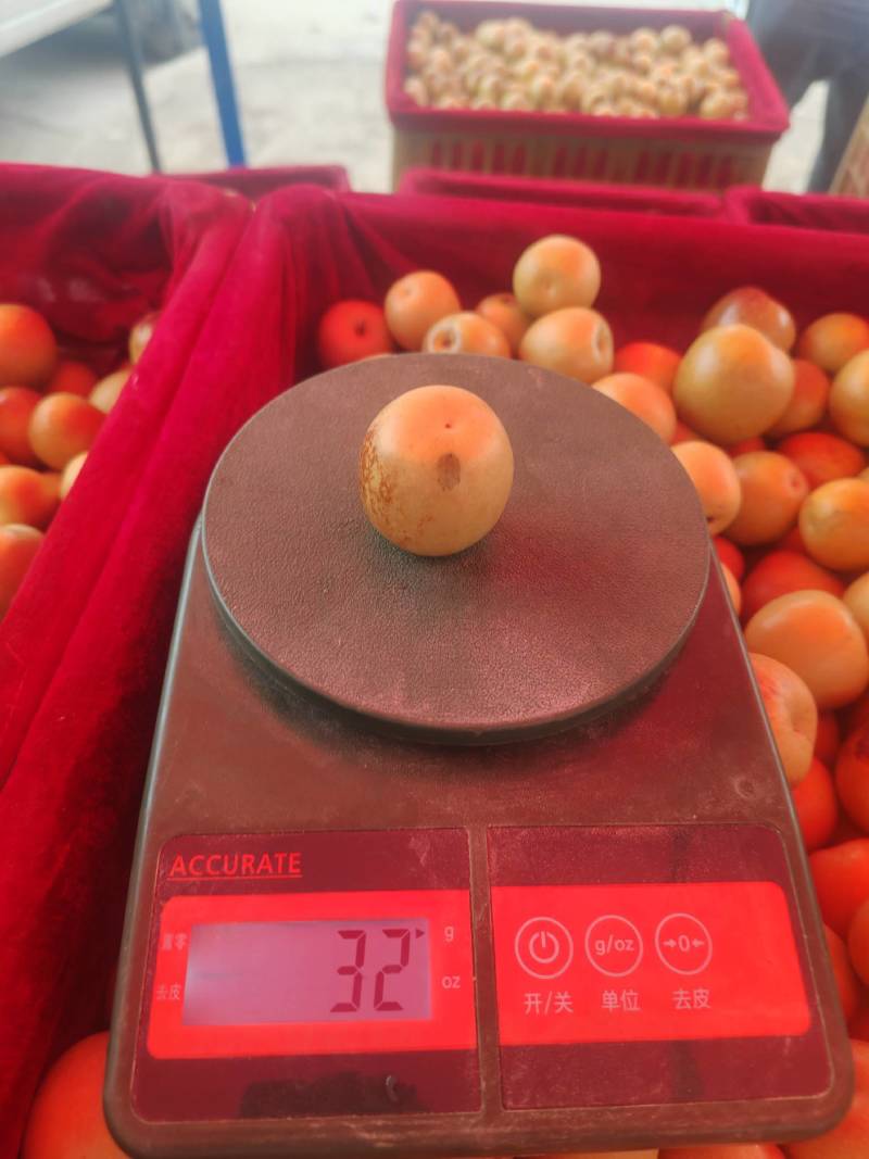 大荔冬枣大量供应中，脆甜爽口入口即化，黄白带点红。