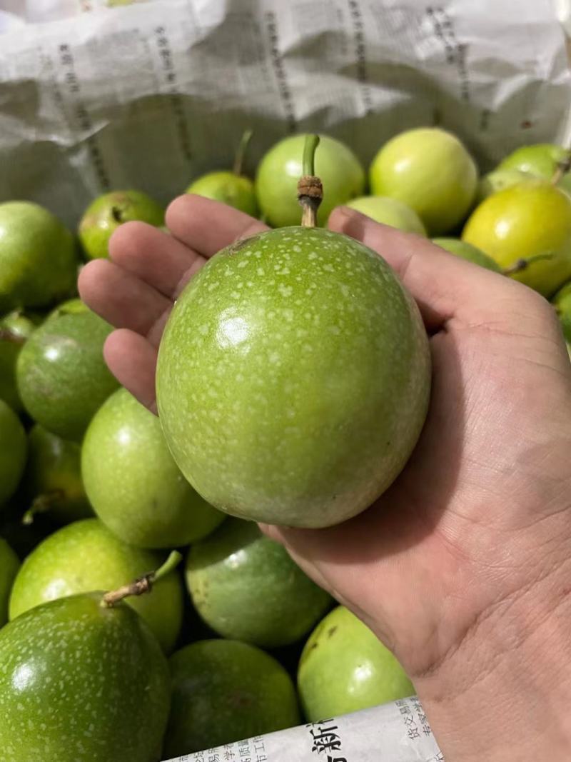海南钦密9号黄金百香果