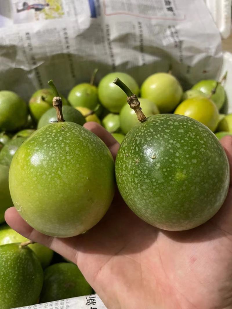 海南钦密9号黄金百香果