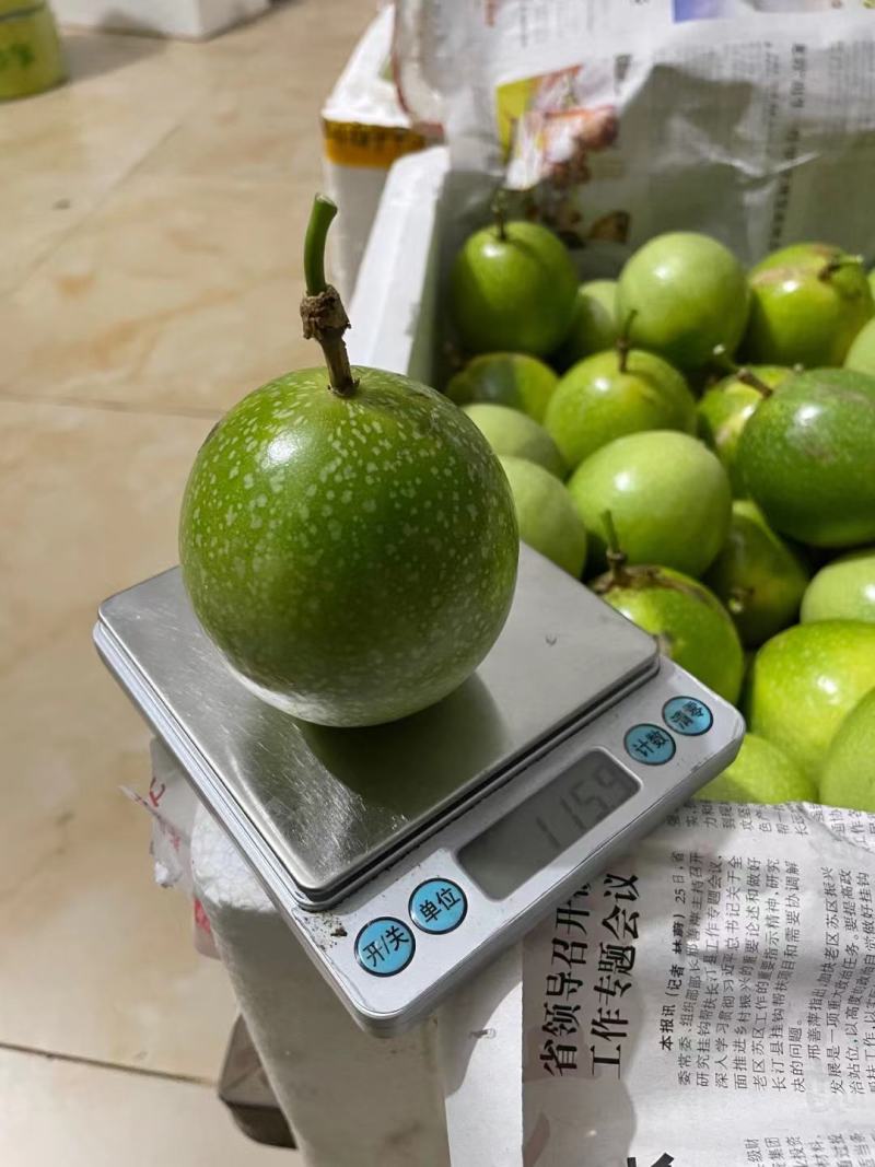海南钦密9号黄金百香果