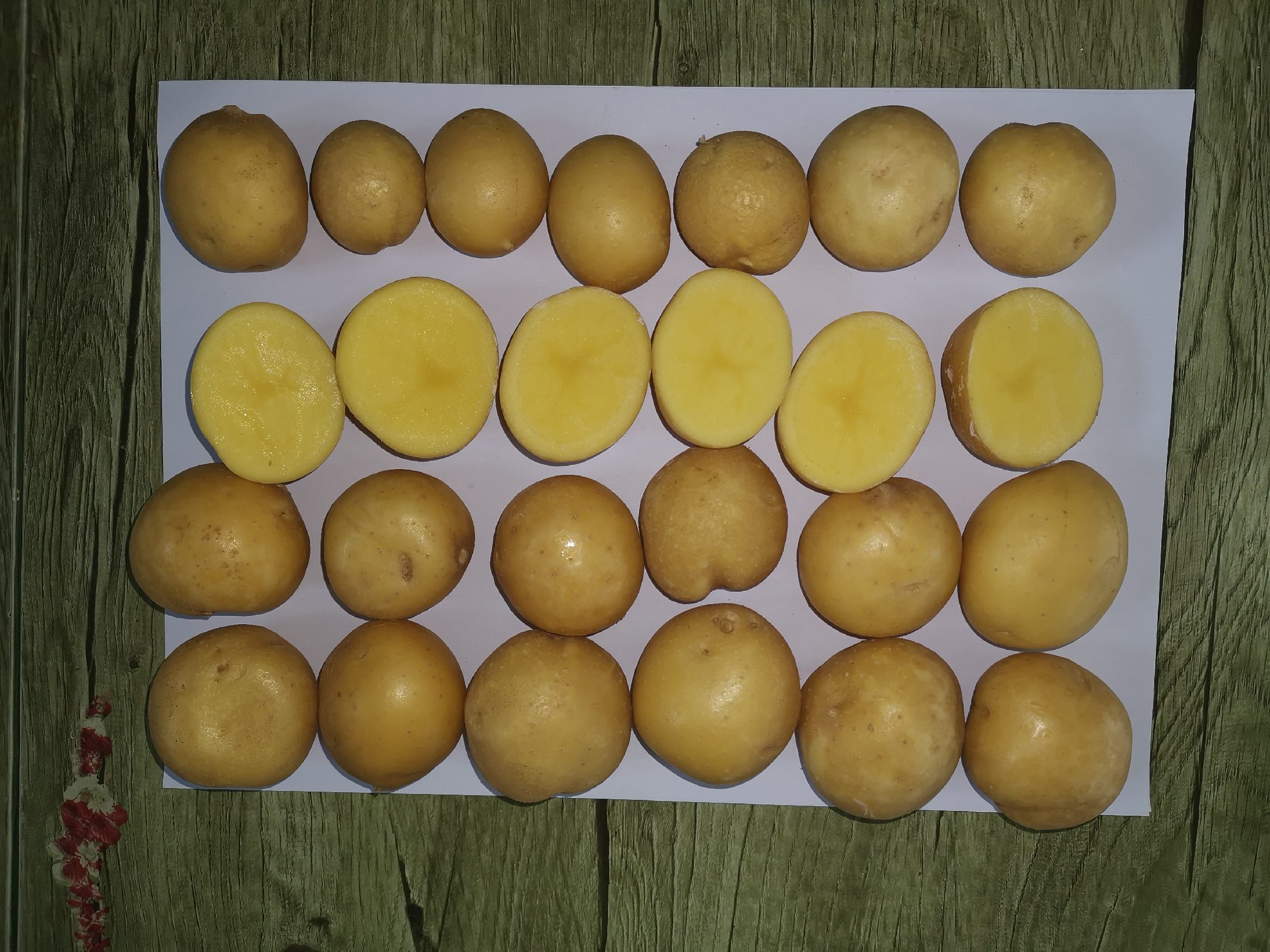 不同蔬菜嘌呤含量对比图