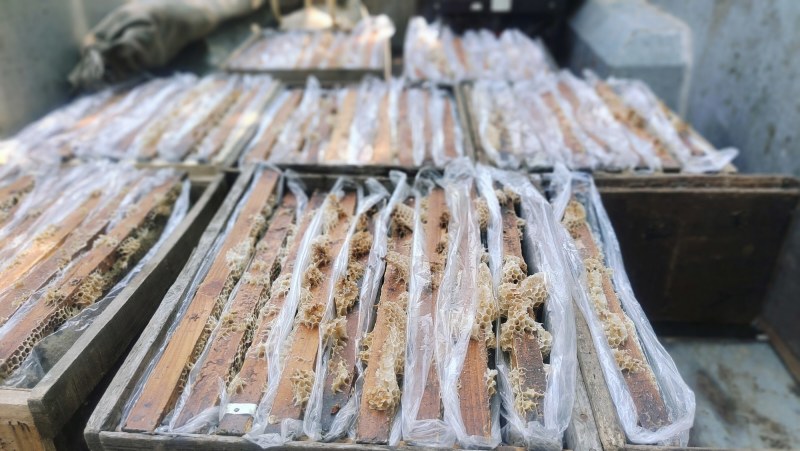 蜂蜜摇蜜用老巢蜜，封盖率50%-95%，诚信经营售后无忧