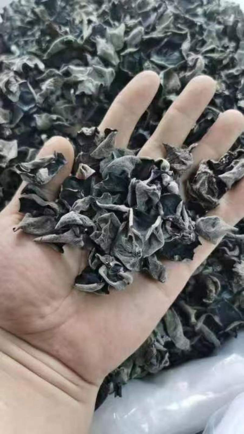 东北黑木耳，无杂无碎，泡发率高，欢迎各位老板来电咨询