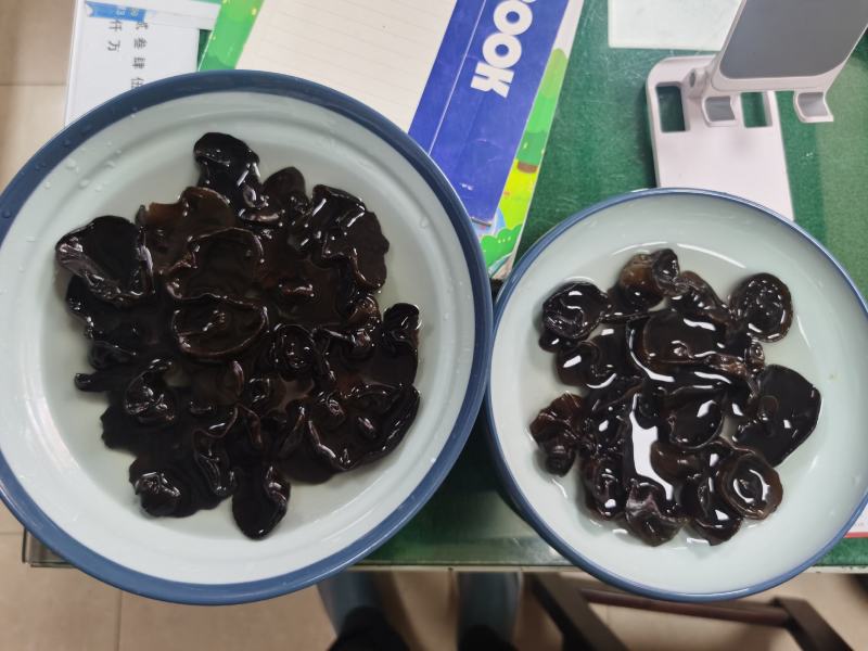 东北黑木耳，无杂无碎，泡发率高，欢迎各位老板来电咨询