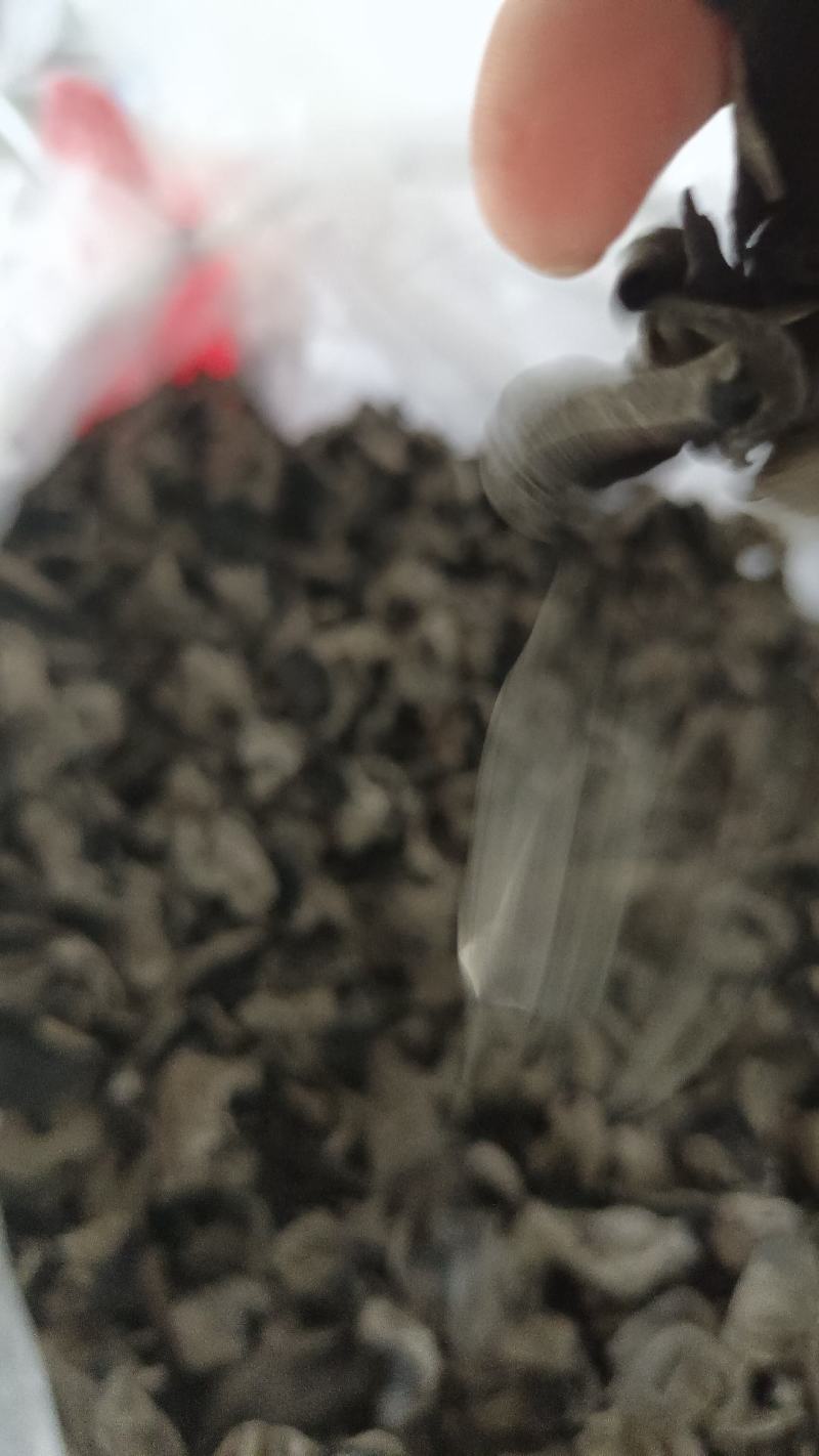 东北黑木耳，无杂无碎，泡发率高，欢迎各位老板来电咨询