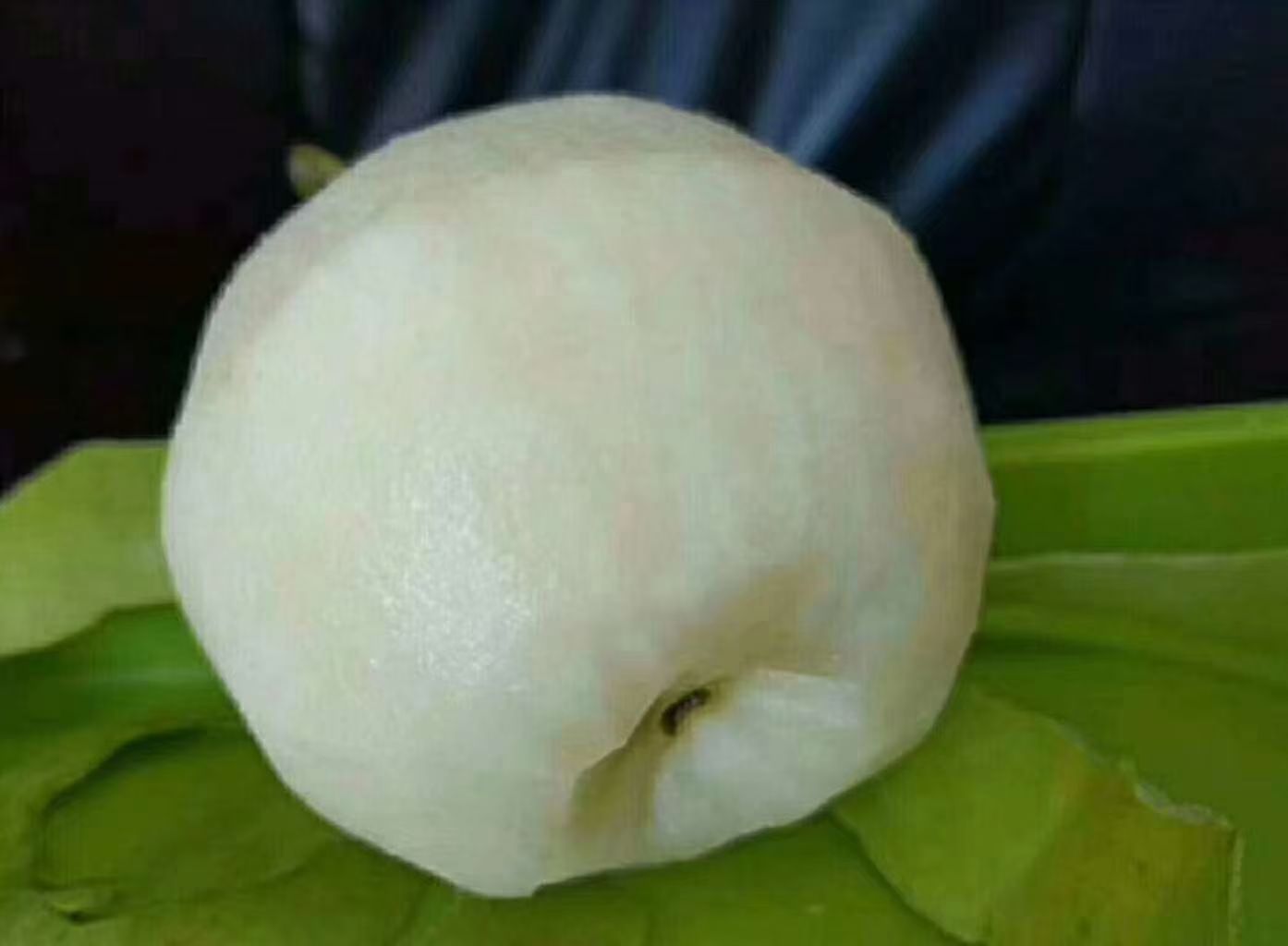 香梨与雪梨对比图