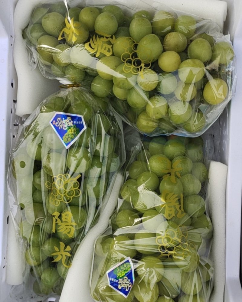 火龙果