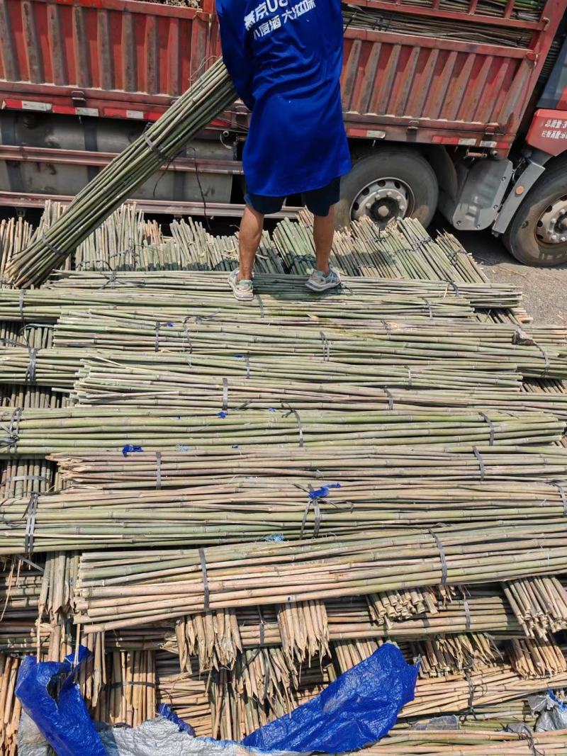 菜架竹竹竿楠竹豆角架