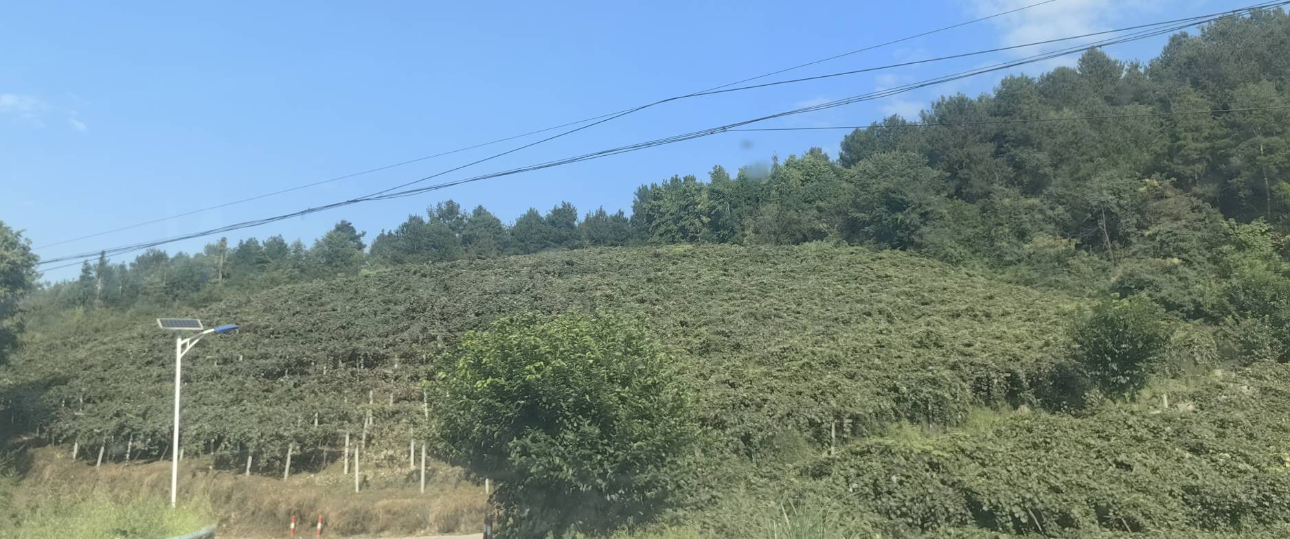 贵长猕猴桃分拣包装车间实景图