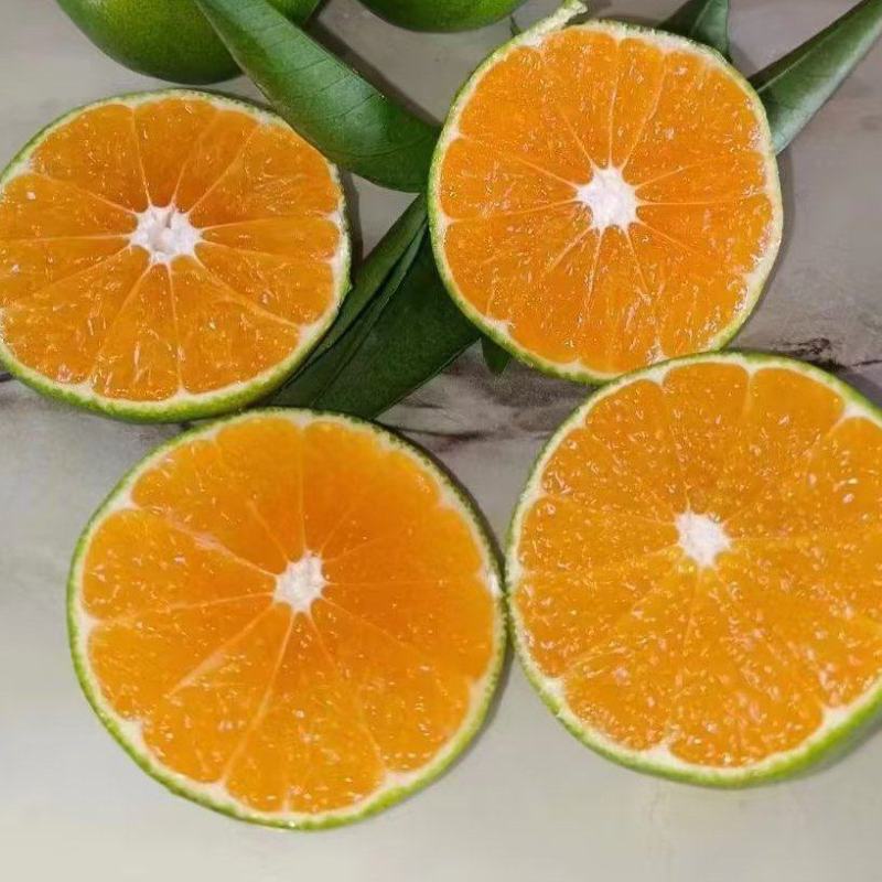 湖南蜜橘，柑桔，优质普早蜜桔批发5.5~6cm，果园现摘