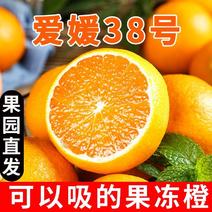 四川爱媛橙一件代发耙耙柑蜜橘丑柑青见砂糖橘沃柑血橙