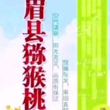 眉县猕猴桃酸甜刚刚