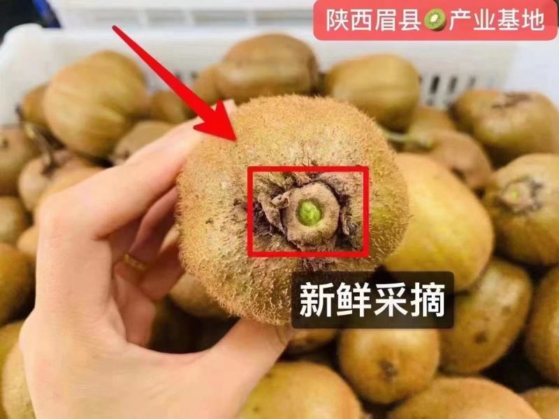 眉县猕猴桃酸甜刚刚