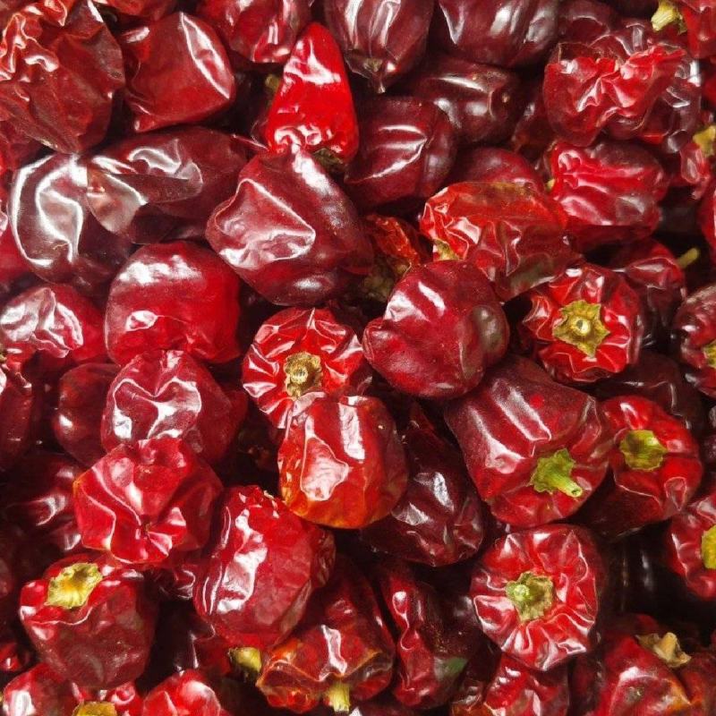 灯笼辣椒，树莓椒，草莓椒，海椒