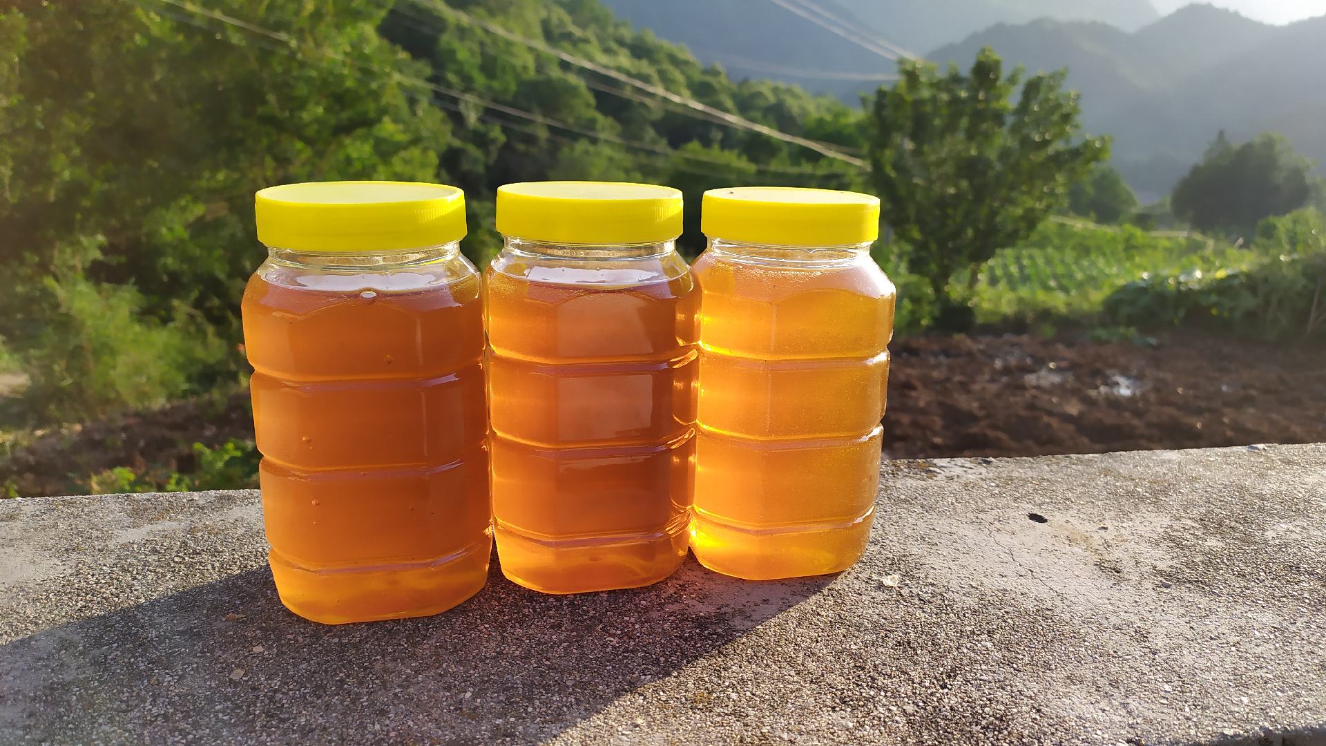 一杯温热的蜂蜜水与天然蜂蜜罐并列摆放,背景为自然田园风格 蜂蜜与白开水搭配示意图